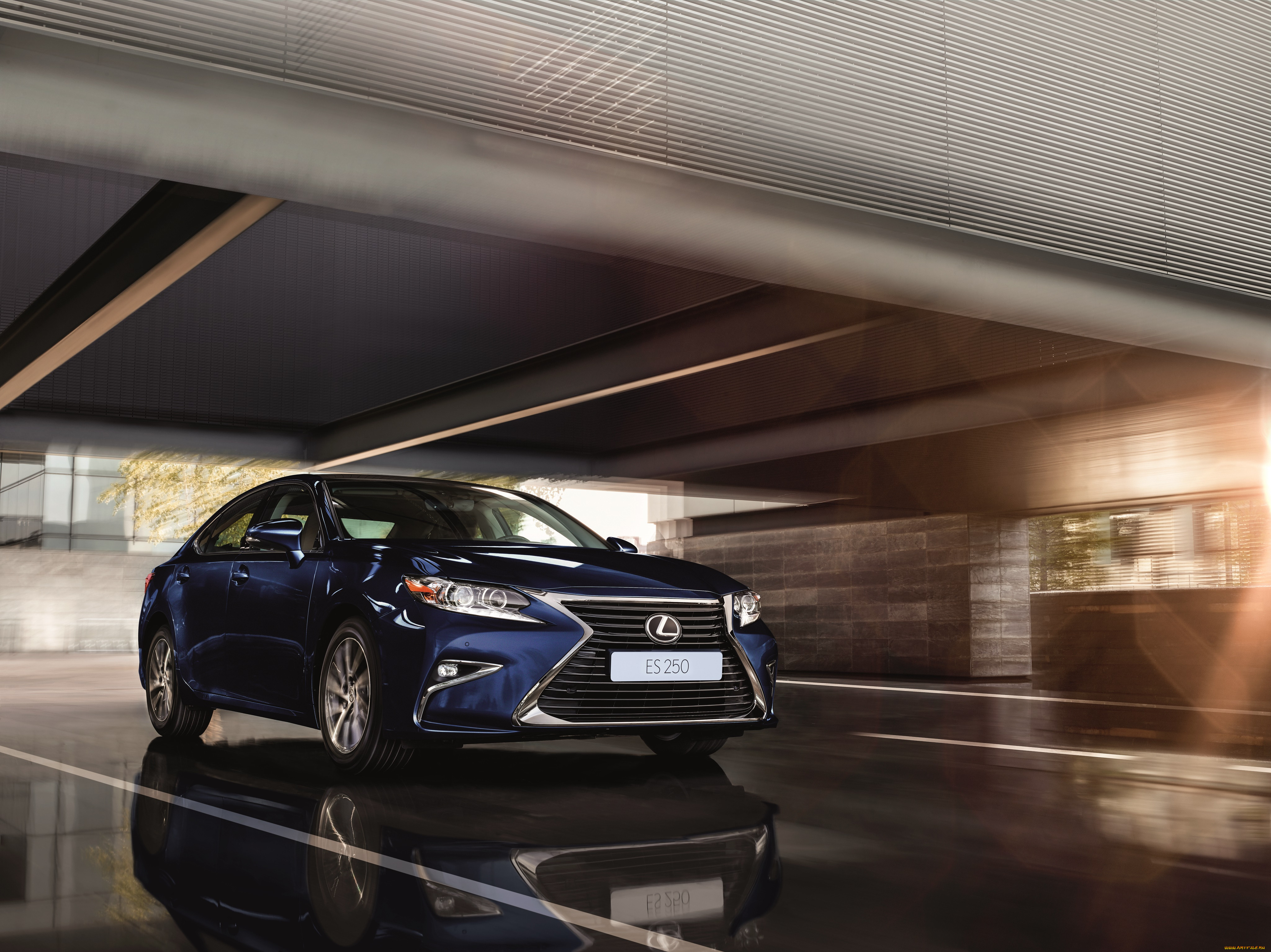 , lexus, es, 250, 2015, cis-spec, xv60